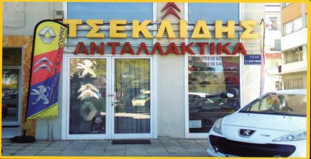 Image Caption